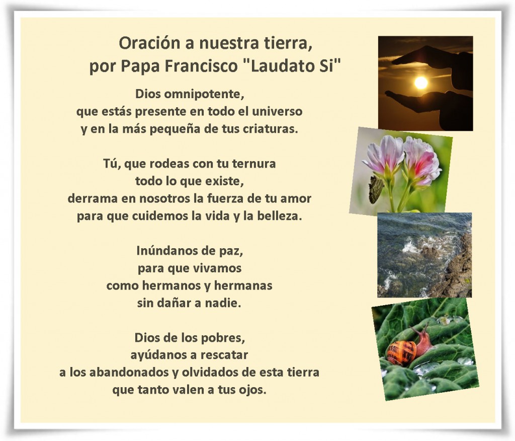 Laudato Si 1